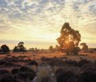 4 dagen Fletcher Hotel-Restaurant Klein Zwitserland ****